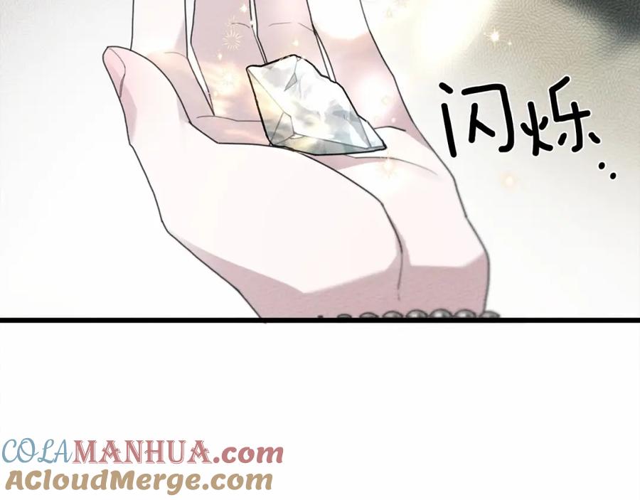 241.jpg