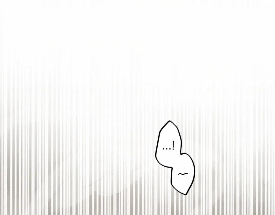 339.jpg