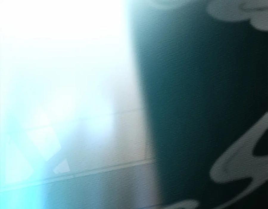 347.jpg