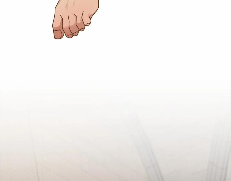 241.jpg