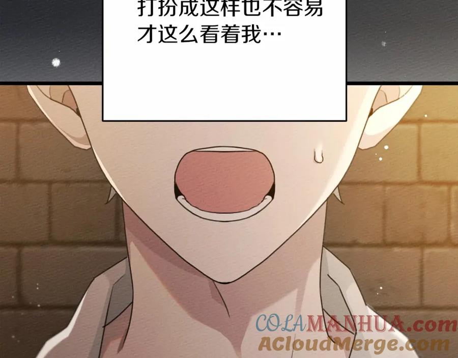 264.jpg