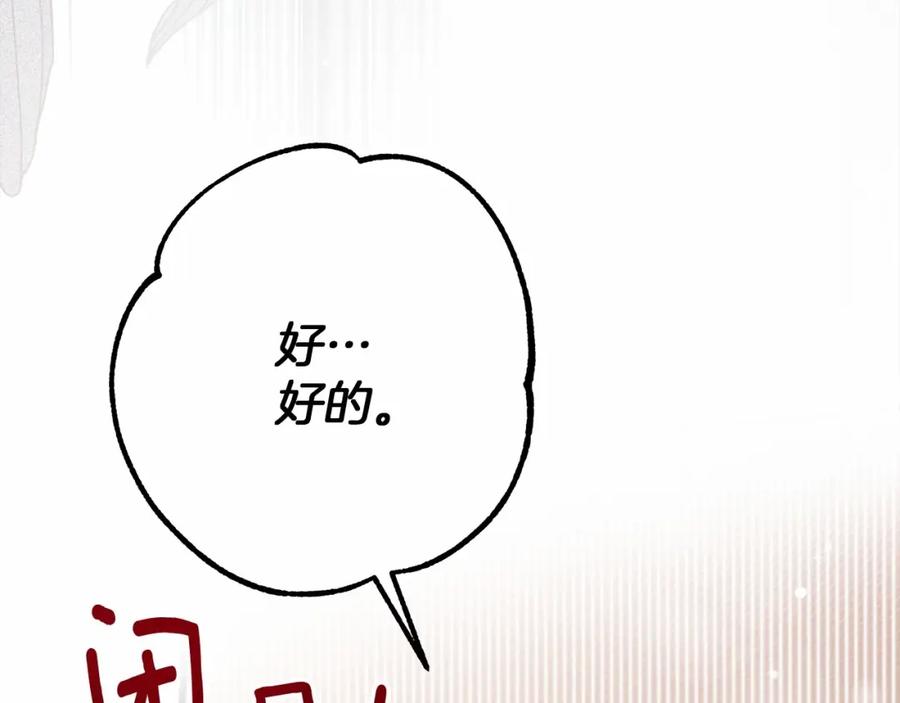 244.jpg