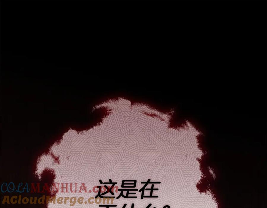 196.jpg