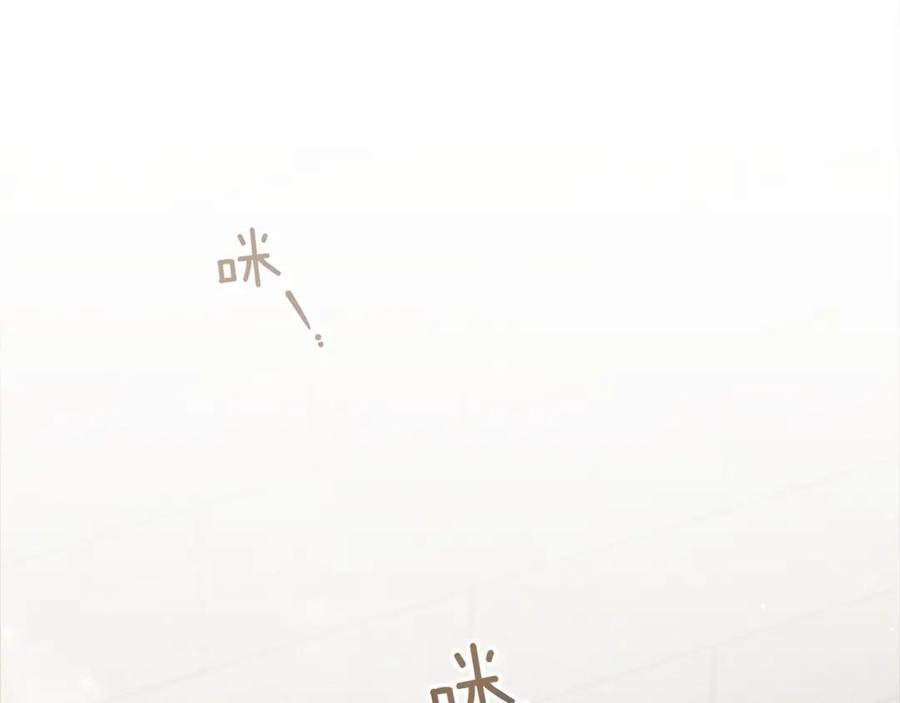 147.jpg