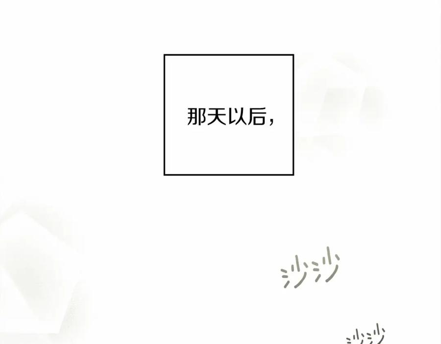 203.jpg