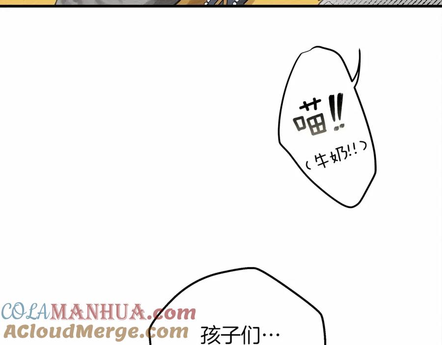 156.jpg