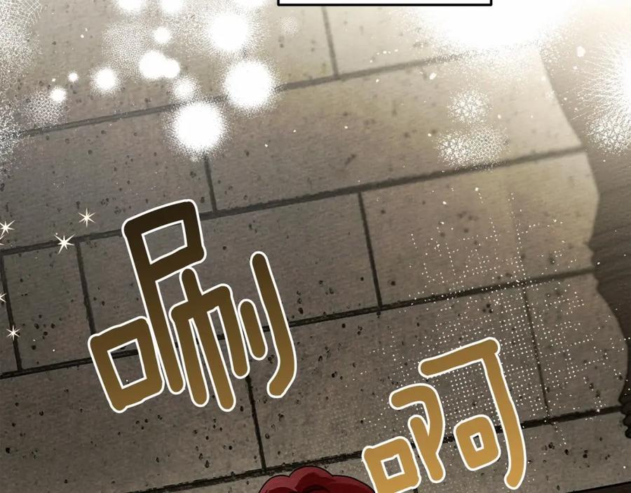 237.jpg