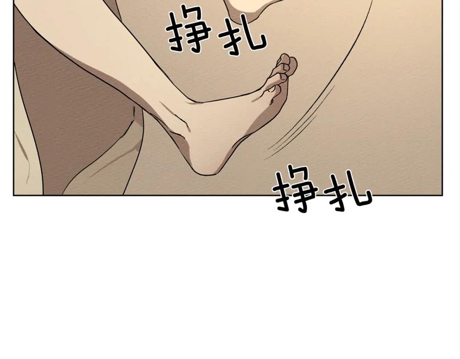 195.jpg