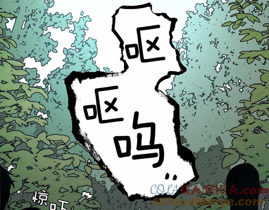 77.jpg