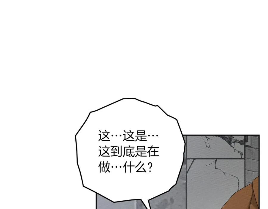 194.jpg