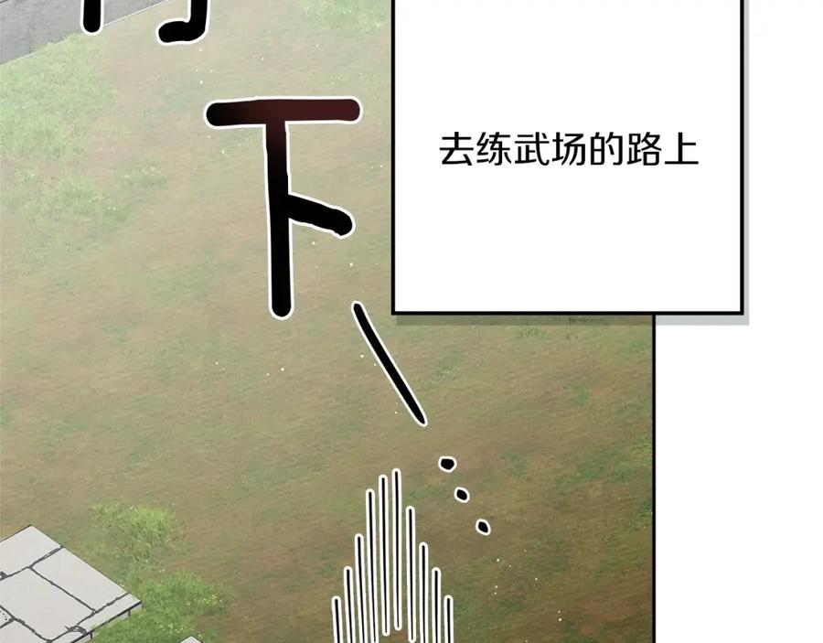 96.jpg