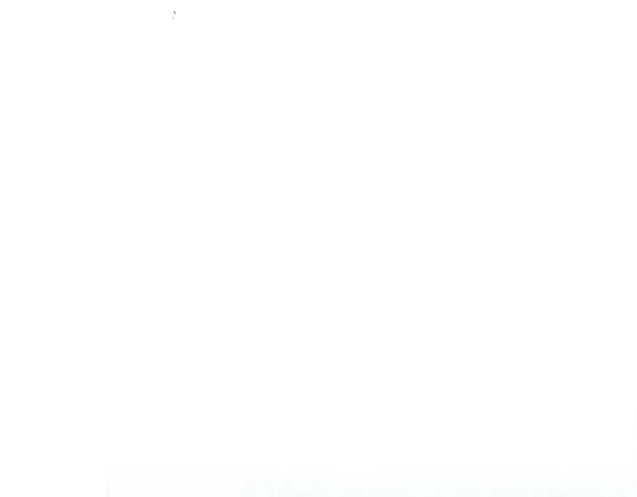 164.jpg