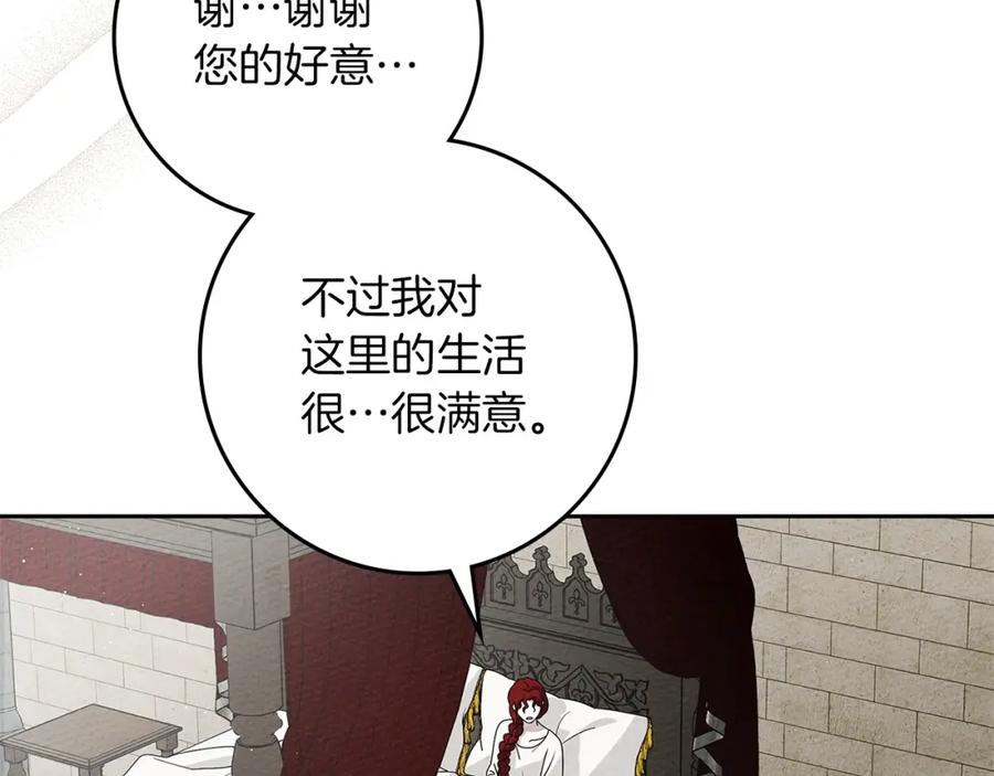 223.jpg