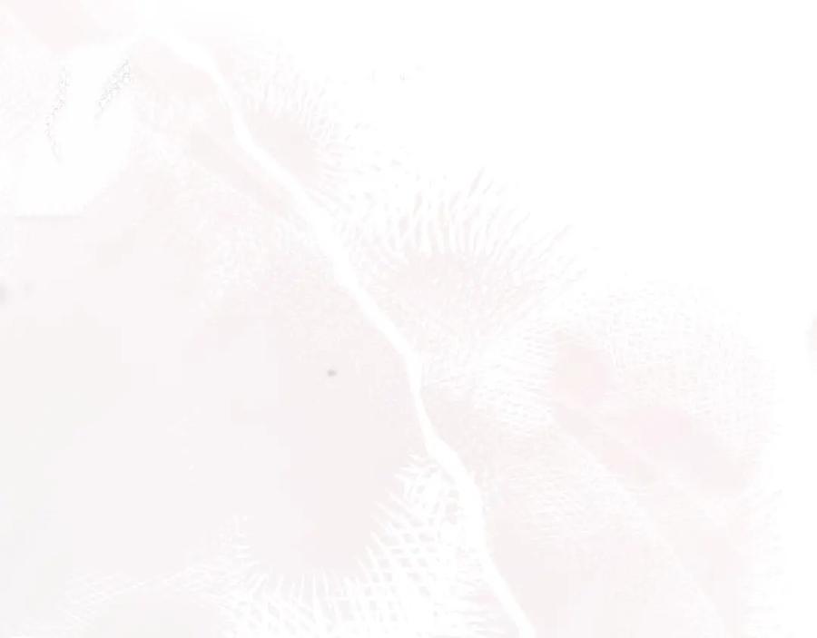 176.jpg