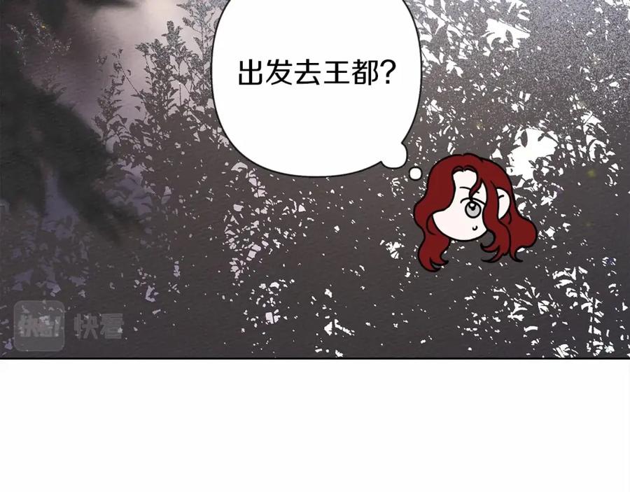 221.jpg