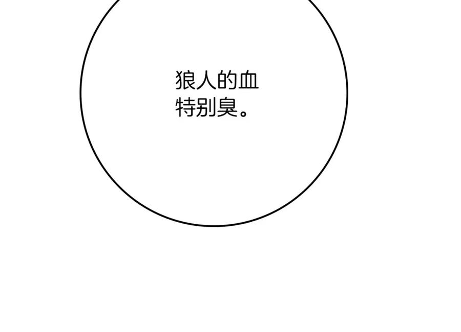167.jpg