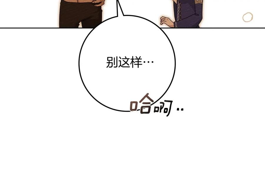 65.jpg