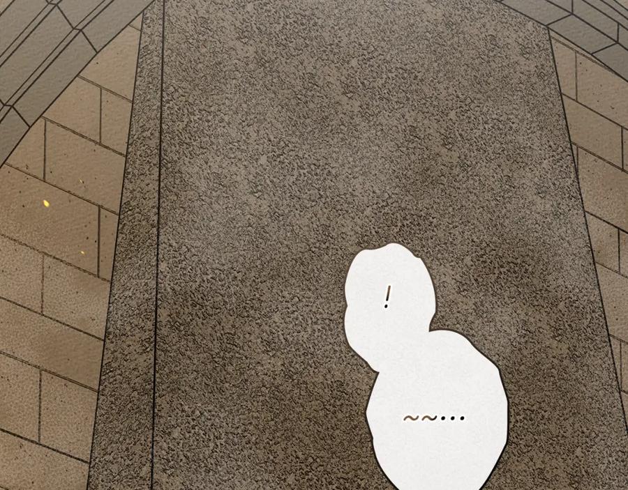 78.jpg