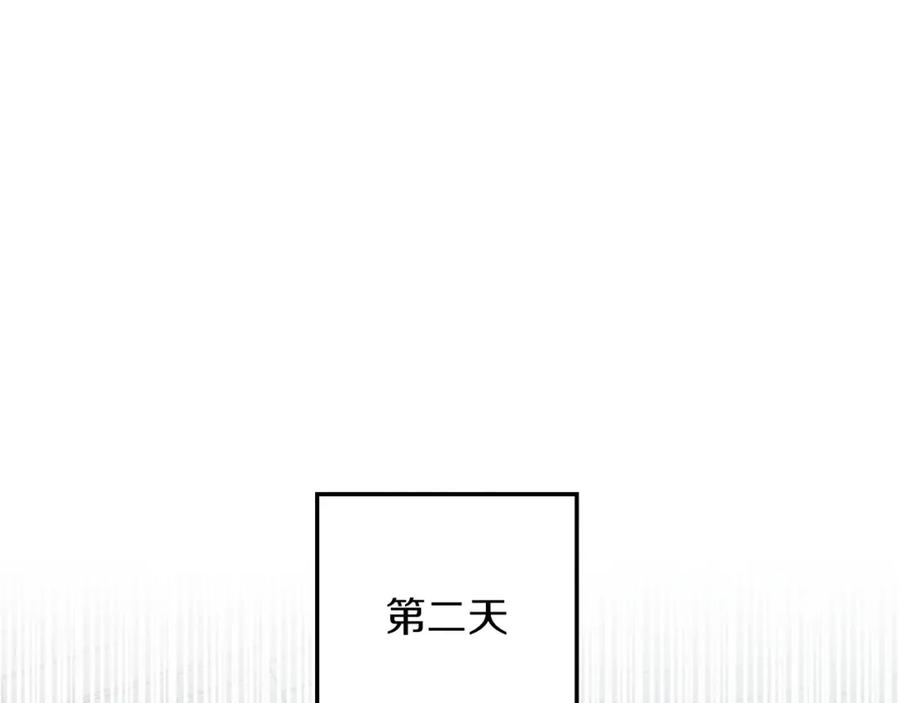 196.jpg