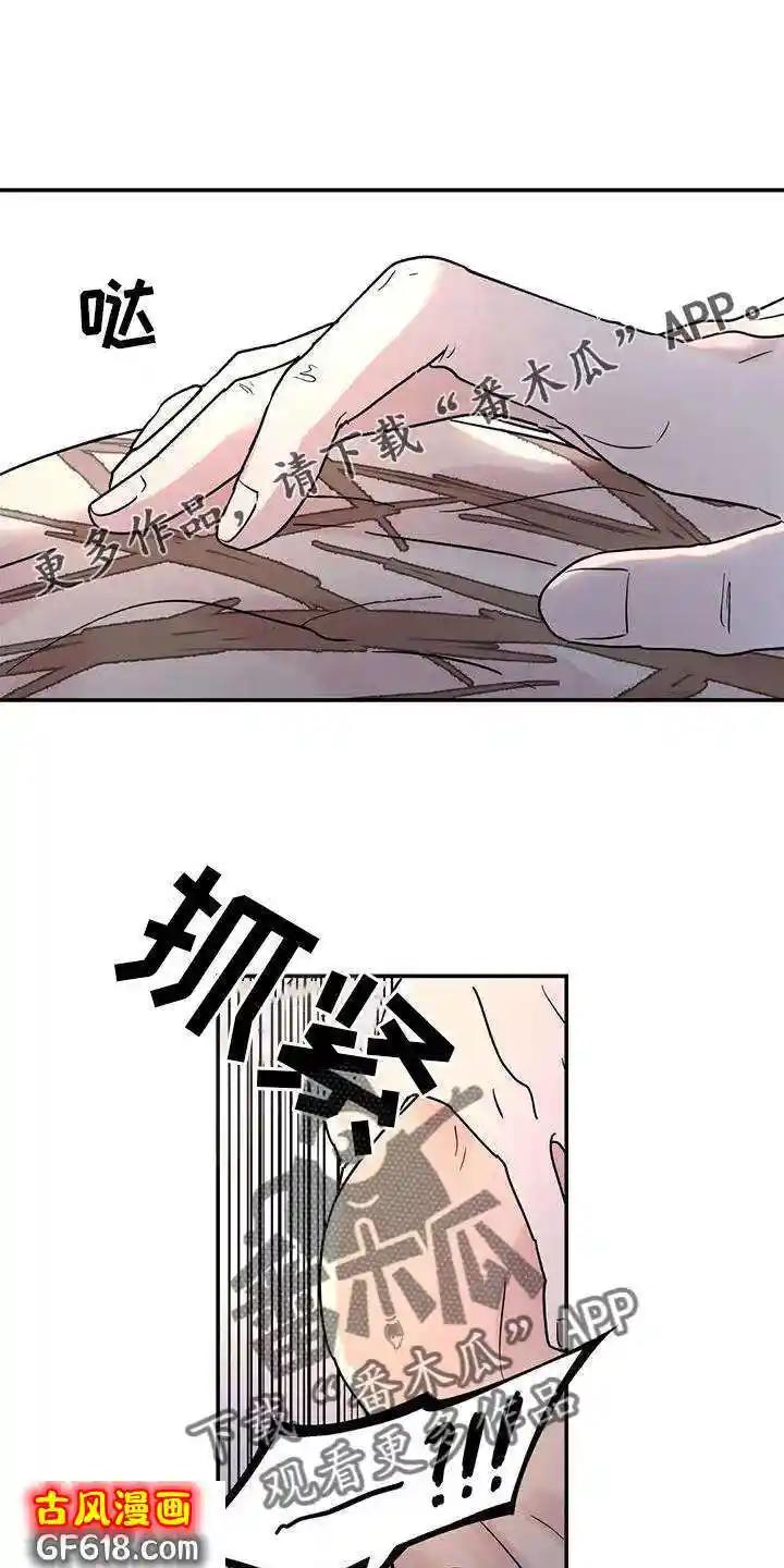 12.jpg