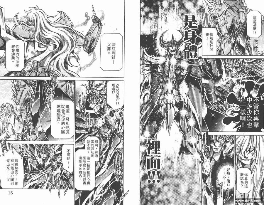 第13卷-圣斗士星矢 冥王神话-手代木史织（第8张）