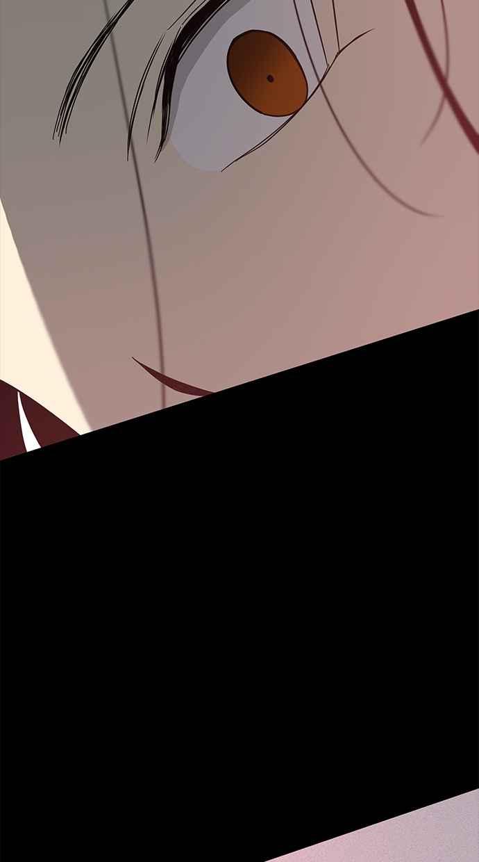 91.jpg