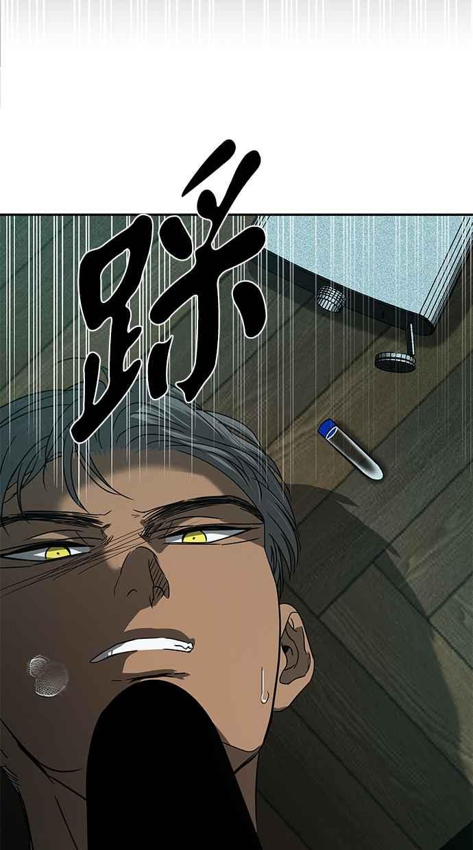 102.jpg