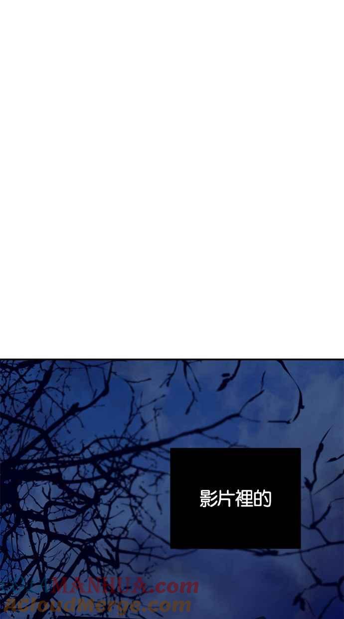 113.jpg