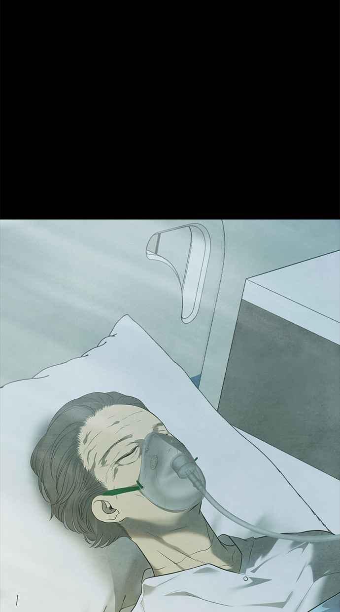 96.jpg