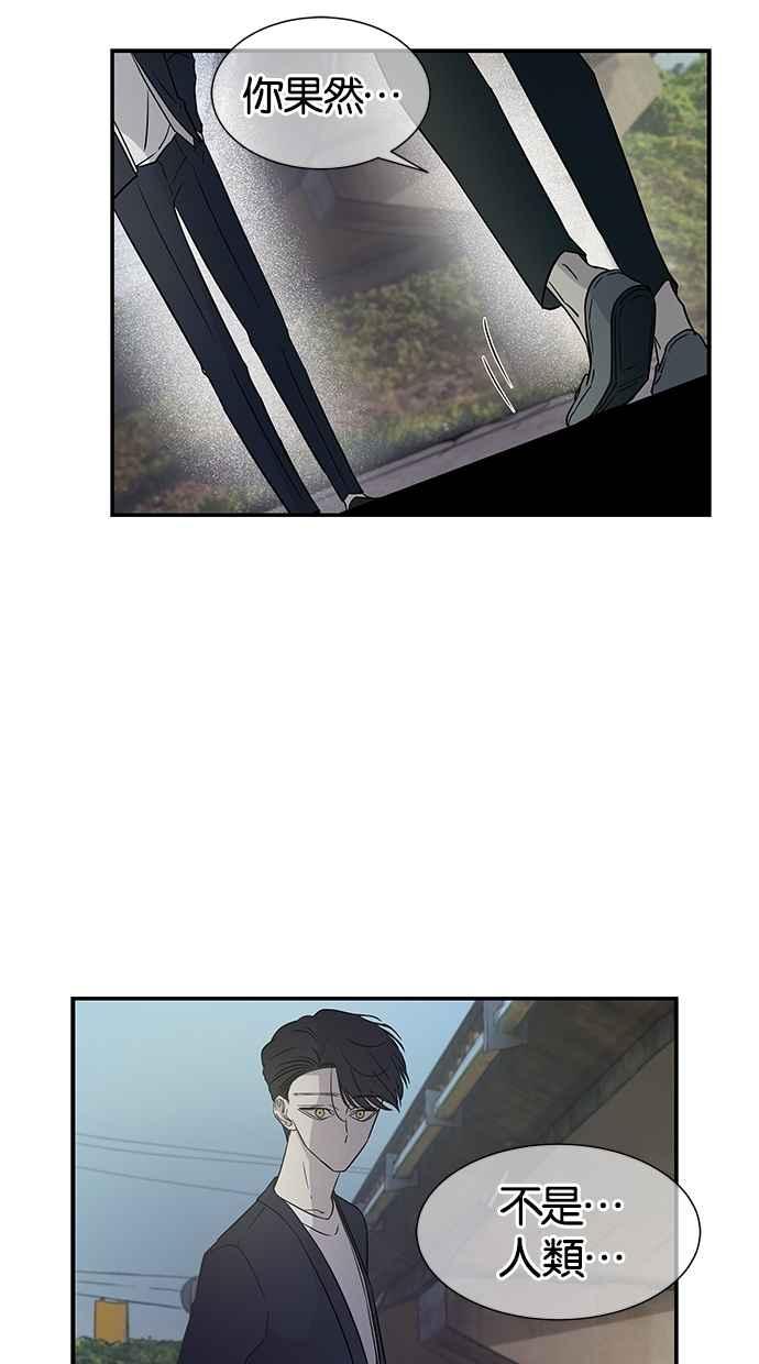 51.jpg