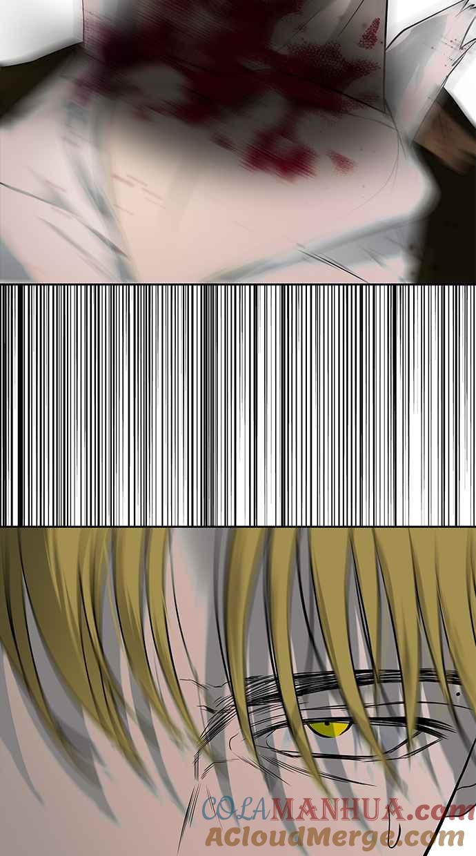 93.jpg
