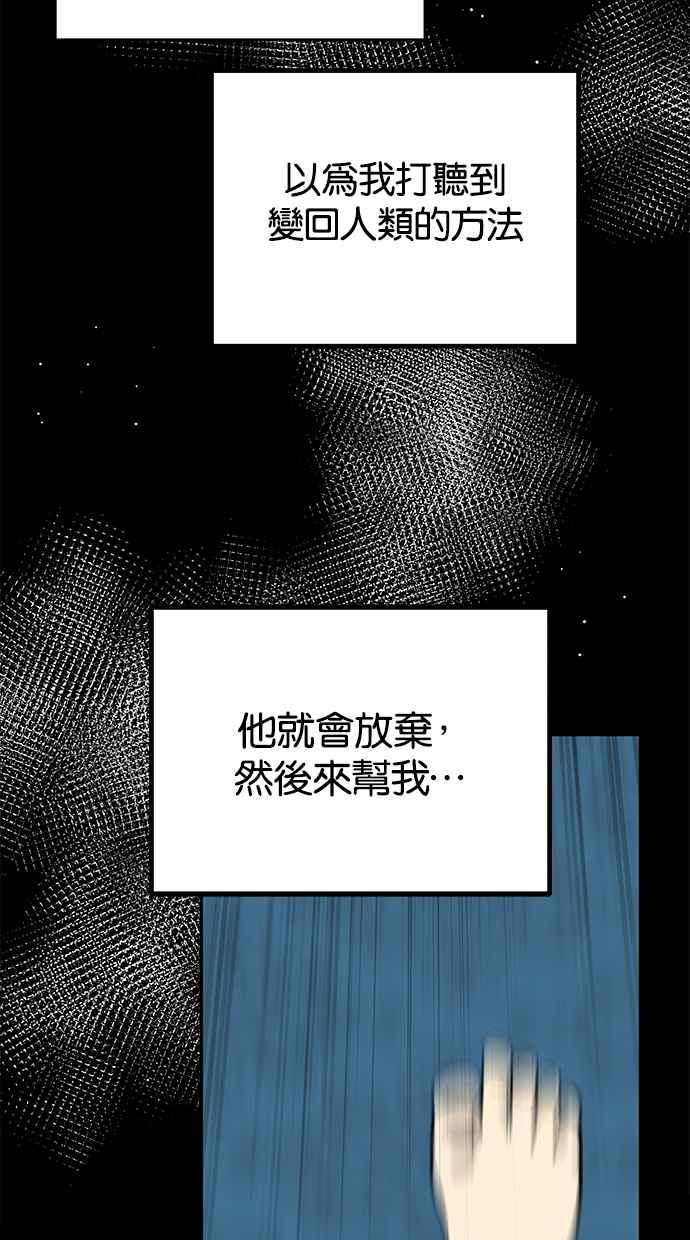 96.jpg