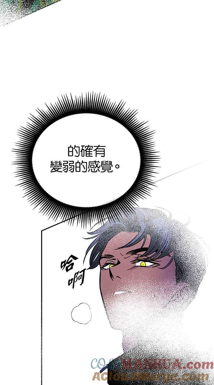 85.jpg