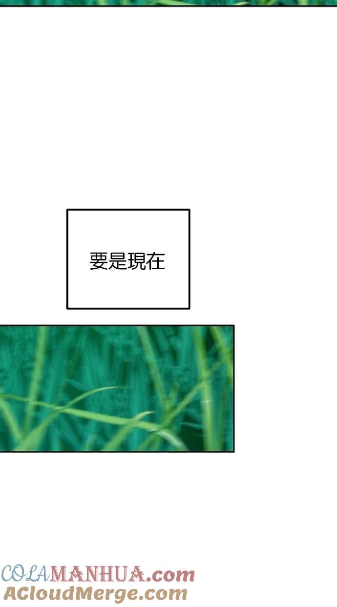 85.jpg