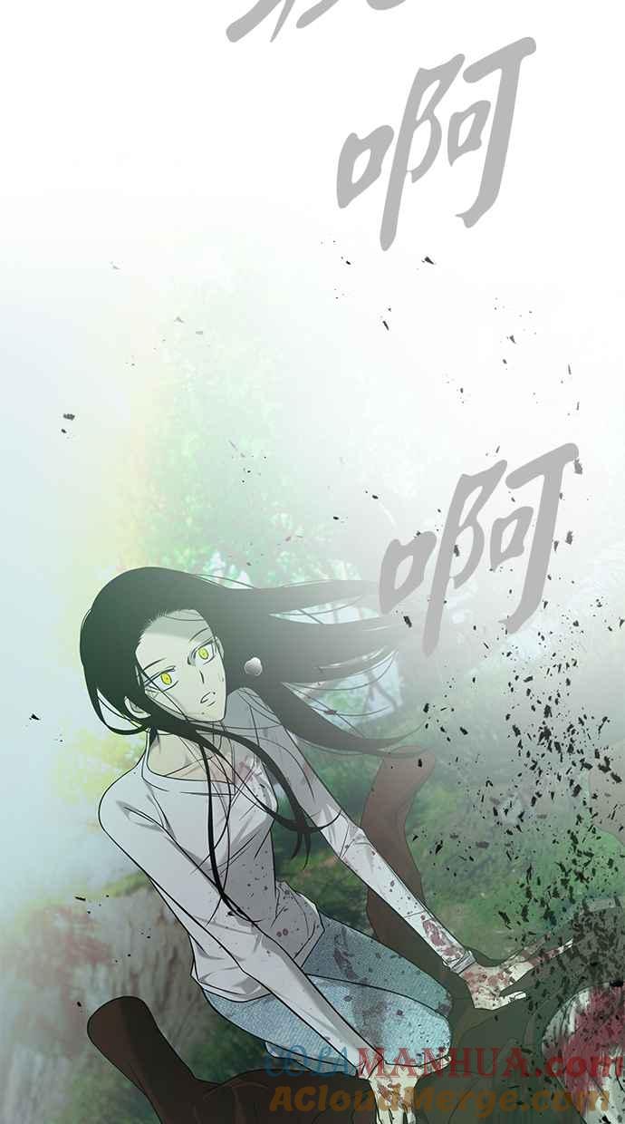 85.jpg