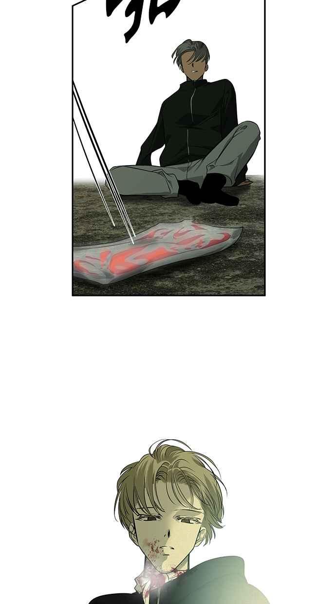 54.jpg