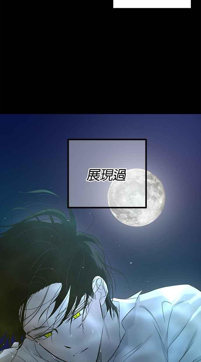 62.jpg