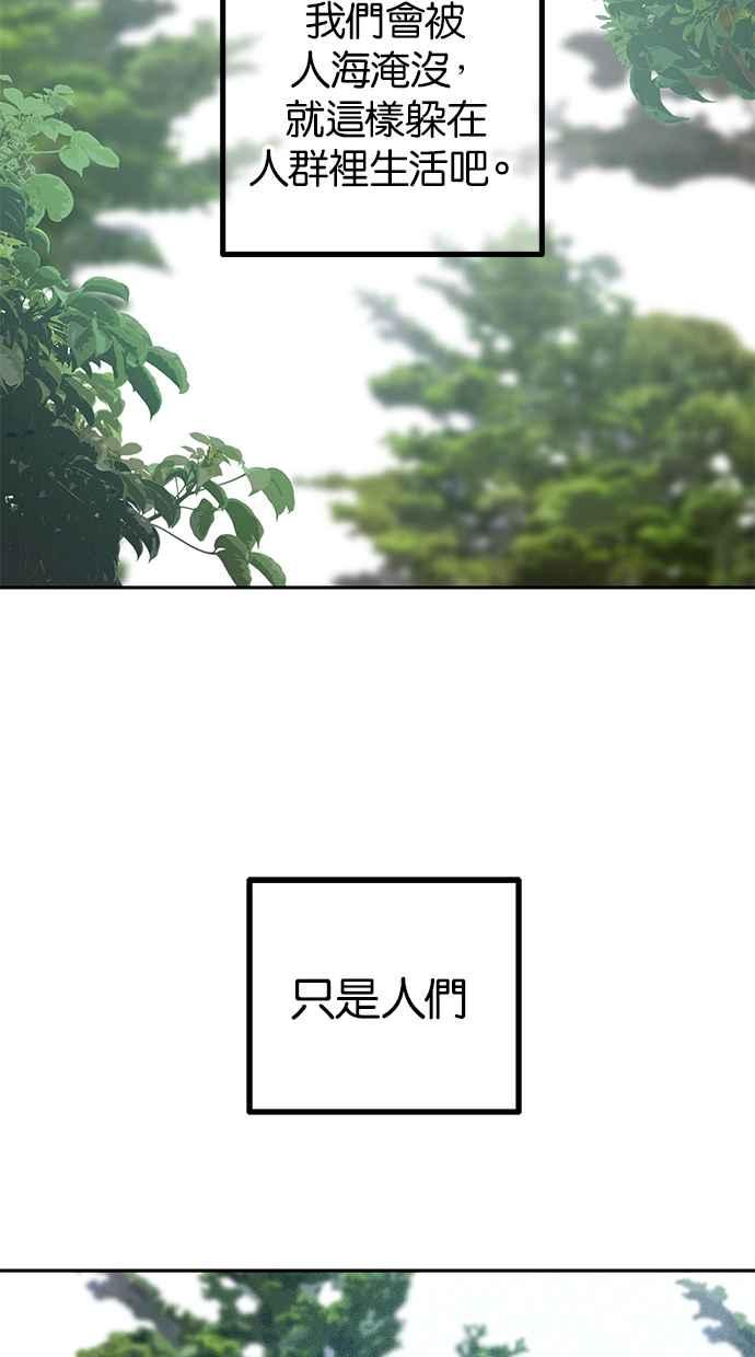 91.jpg