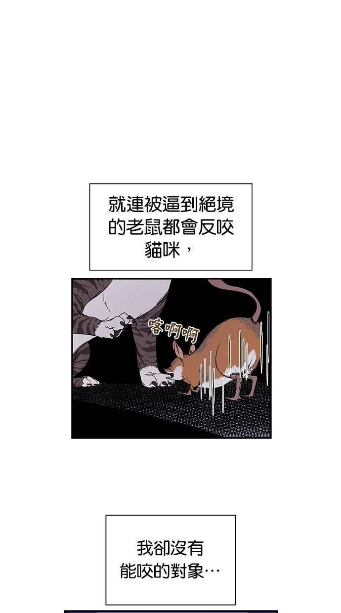 44.jpg