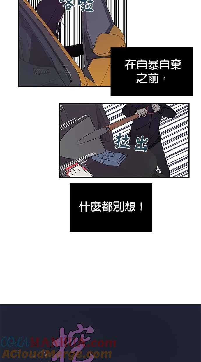 49.jpg