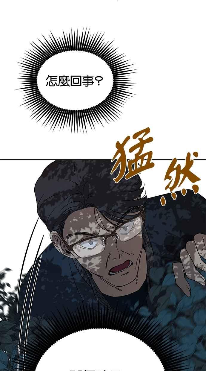 81.jpg