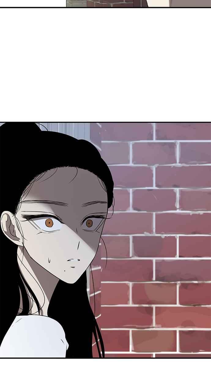 53.jpg
