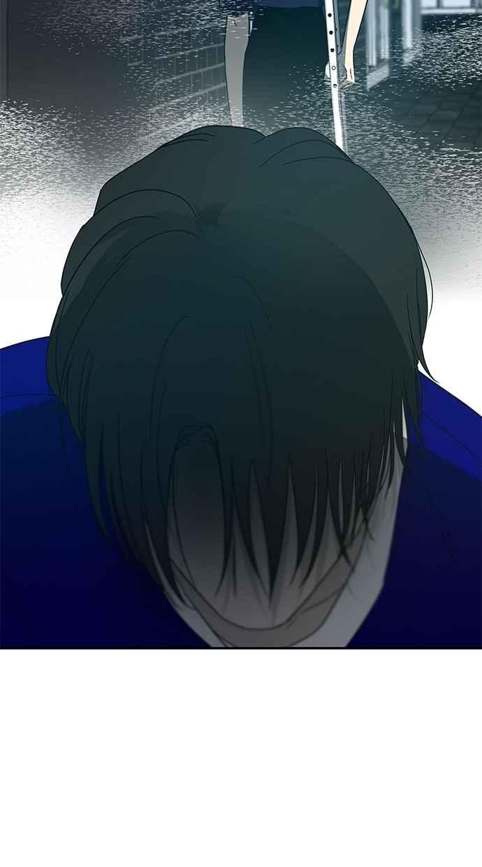 95.jpg