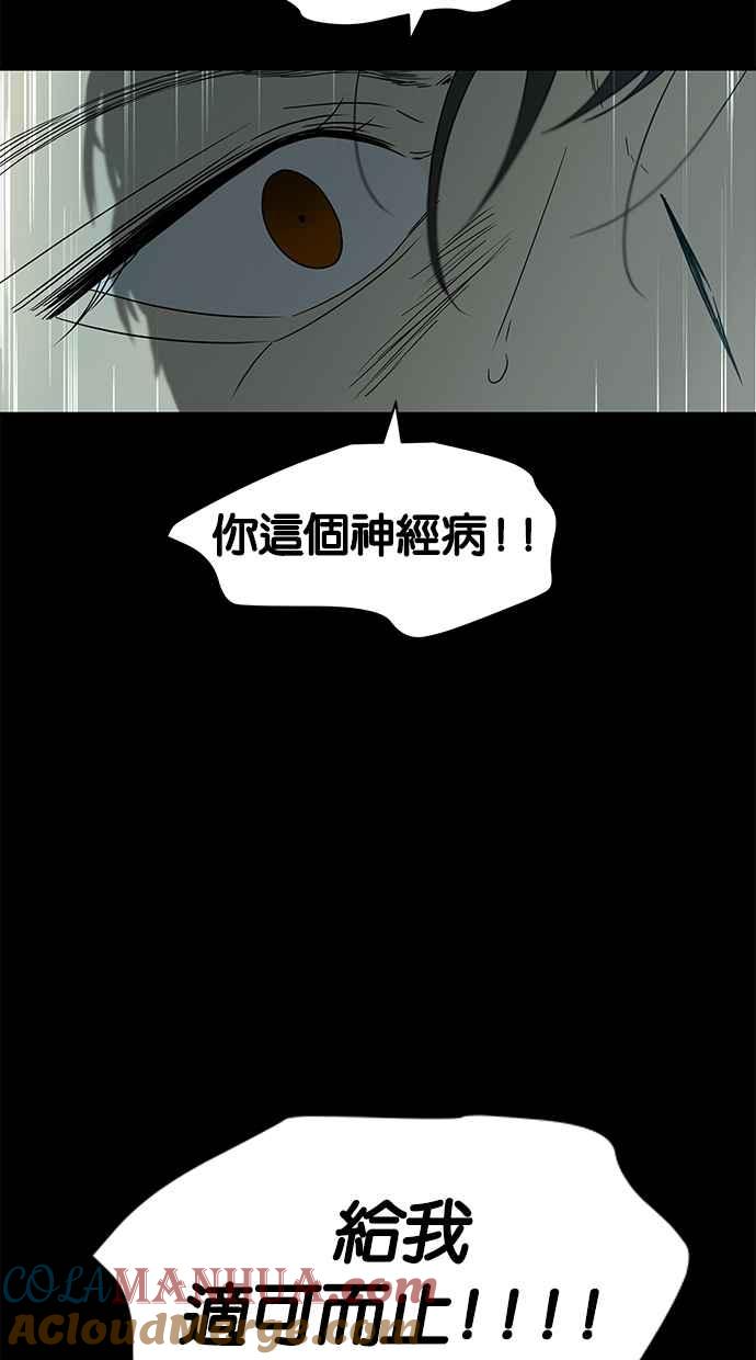 48.jpg
