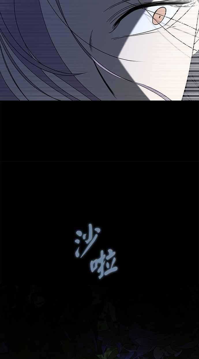 96.jpg
