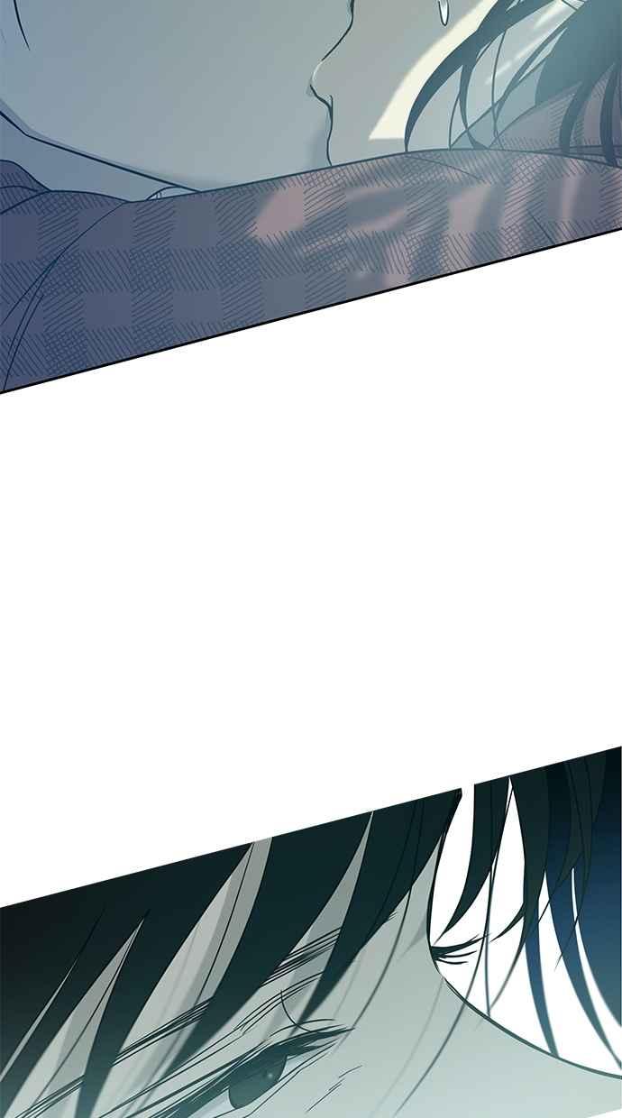 96.jpg