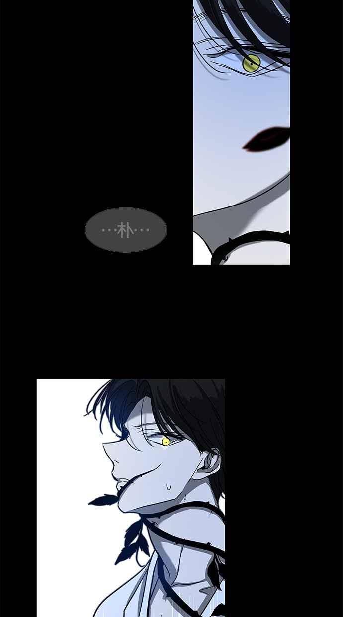 51.jpg