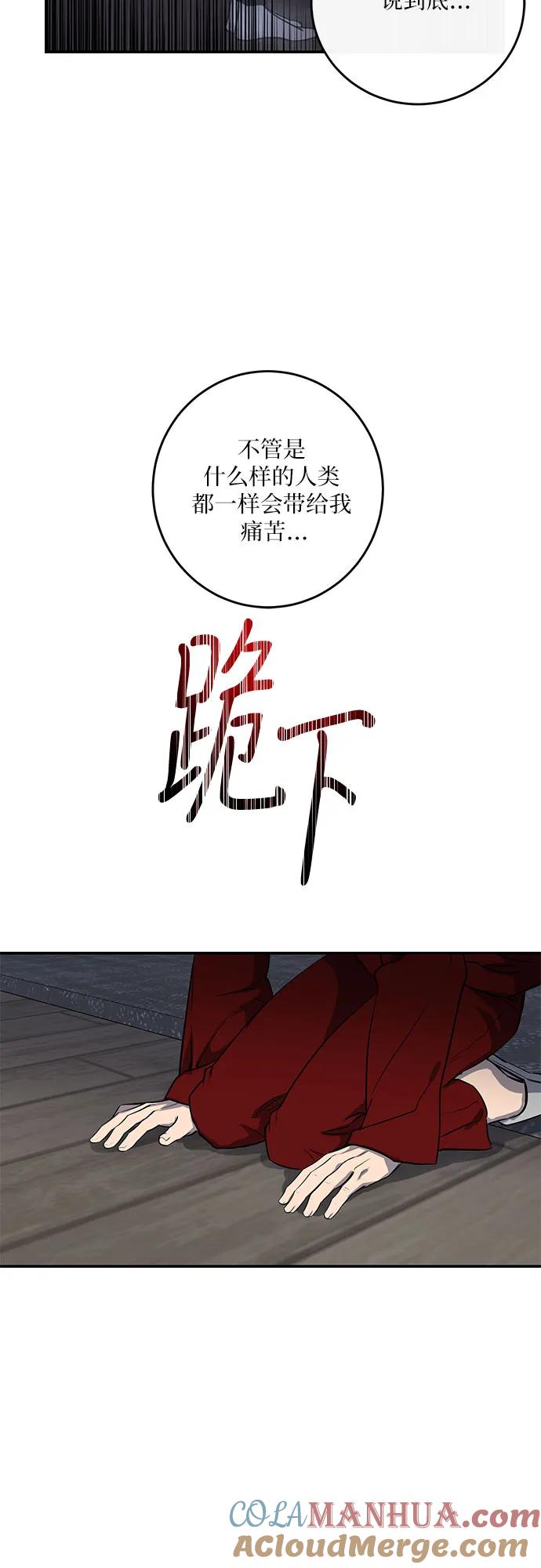 46.jpg