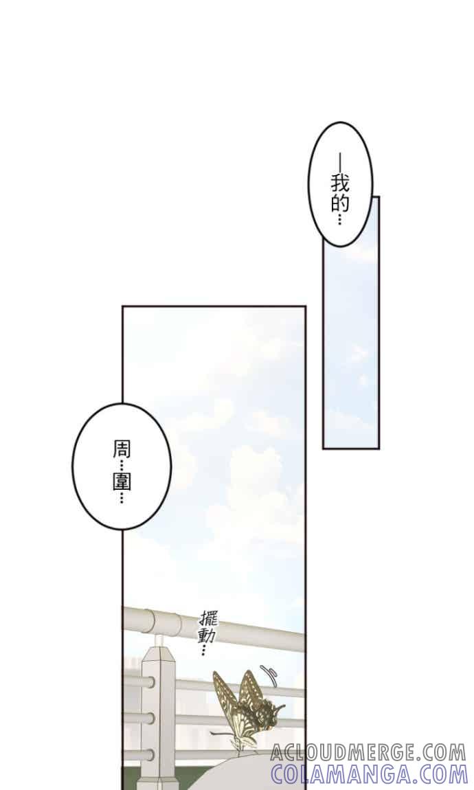 46.jpg