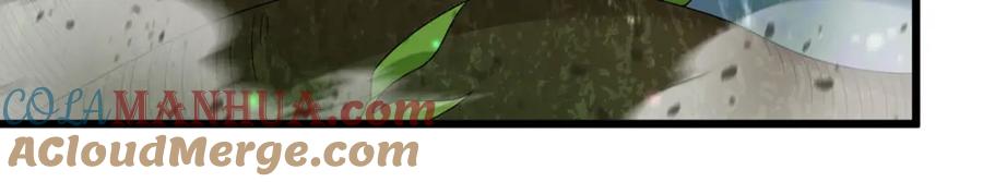 61.jpg